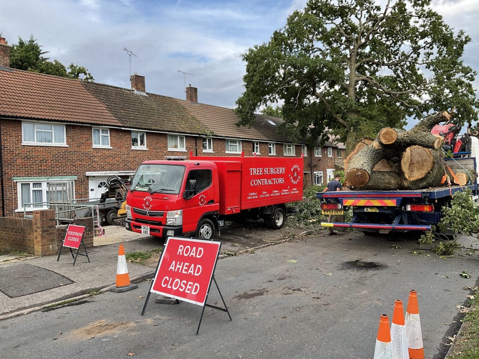 Tree care